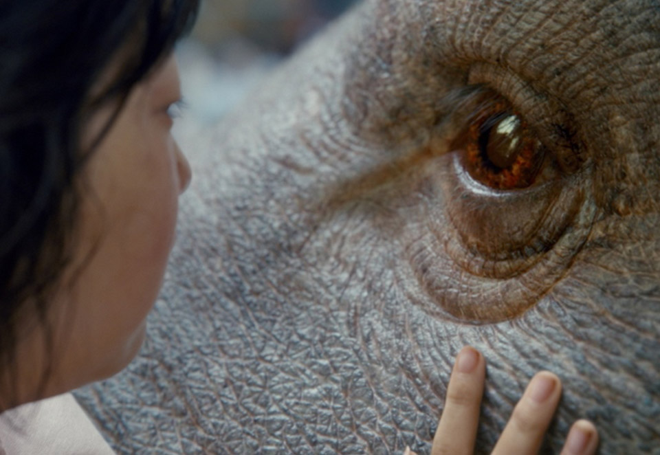 Netflix revela o trailer oficial de Okja