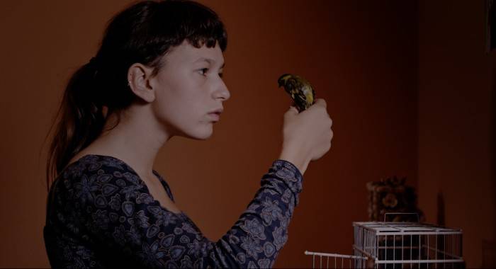 Mostra de Cinema ‘Realizadoras Portuguesas’