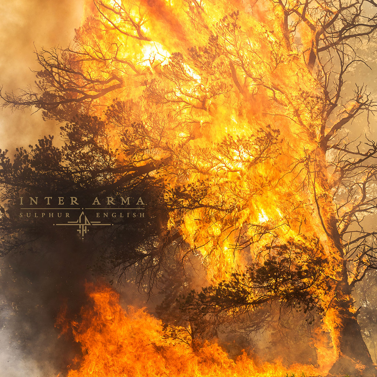 Inter Arma – Sulphur English