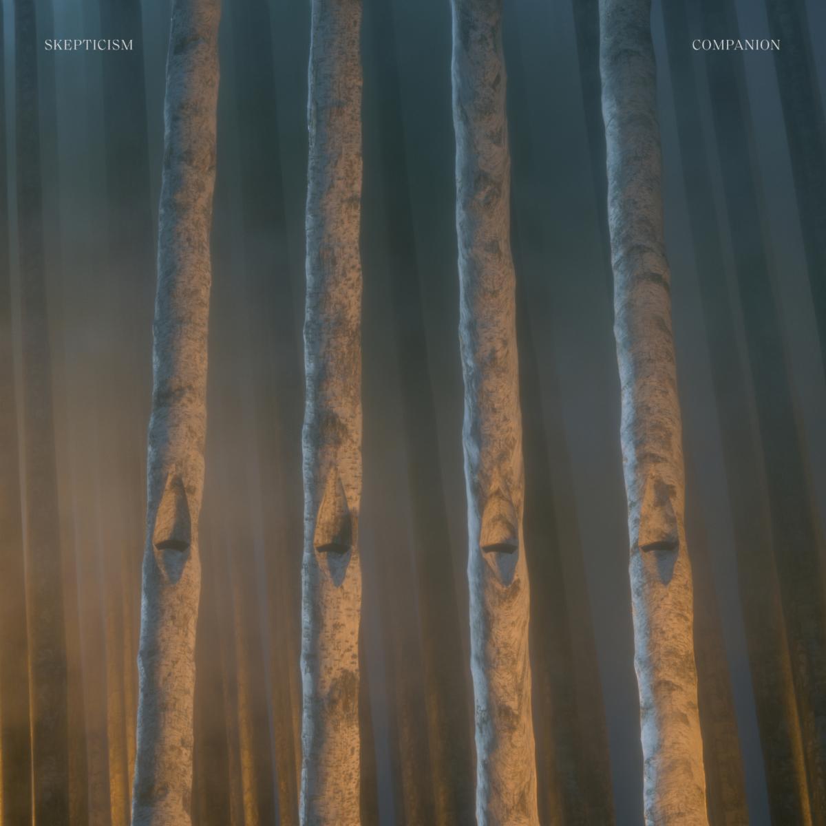 Skepticism – Companion