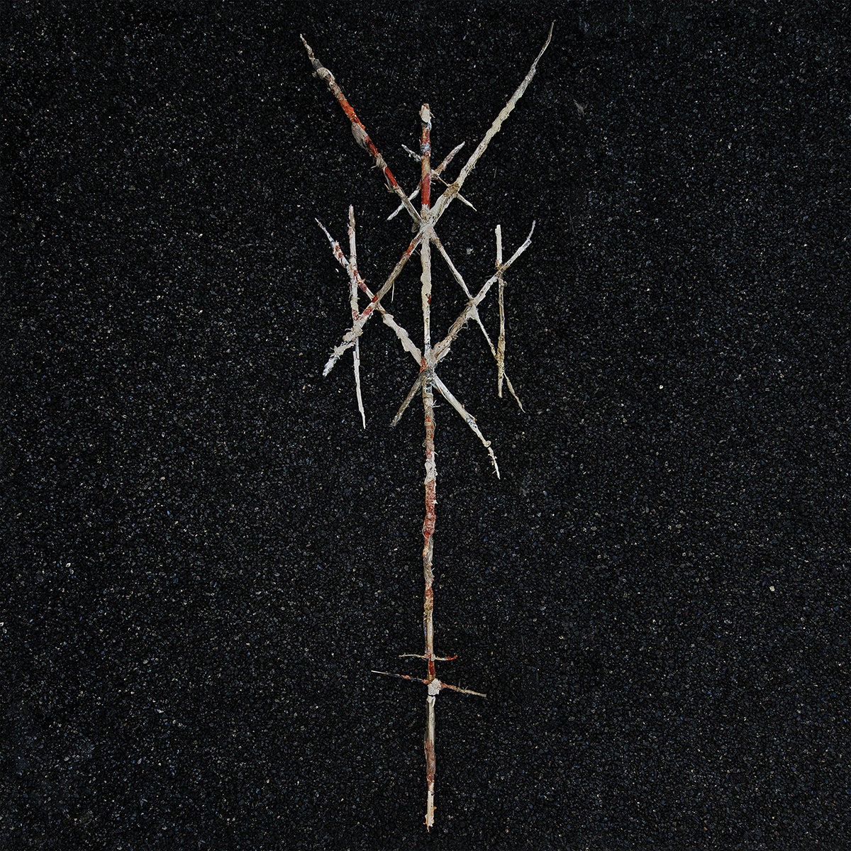 Wiegedood – There’s Always Blood at the End of the Road