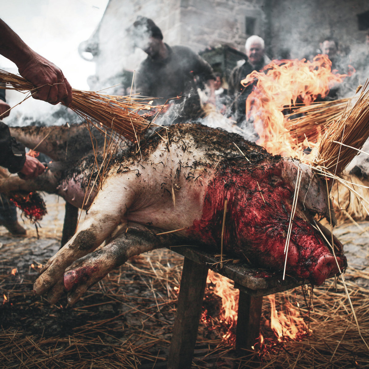 Holocausto Canibal – Crueza Ferina