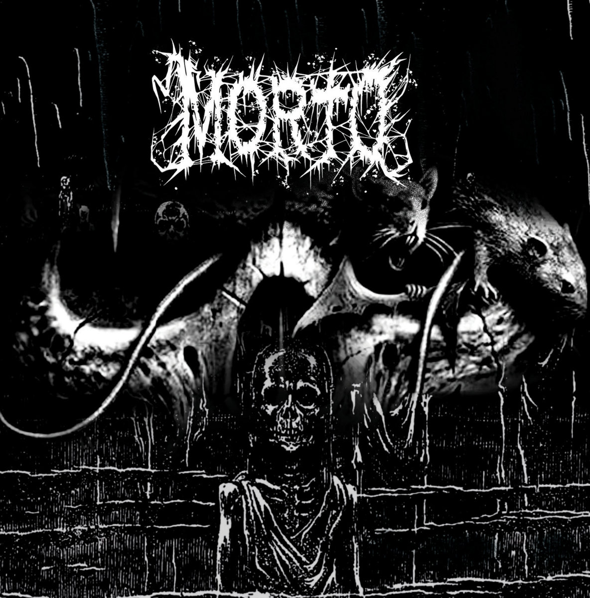 Morto – Morto Vivo