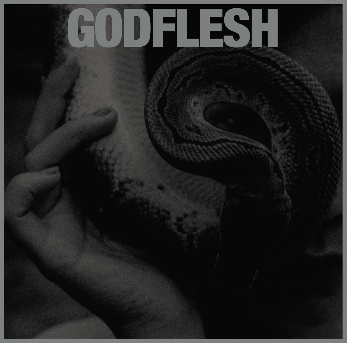 Godflesh – Purge