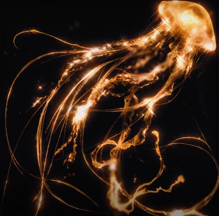 Royal Blood – Back to the Water Below