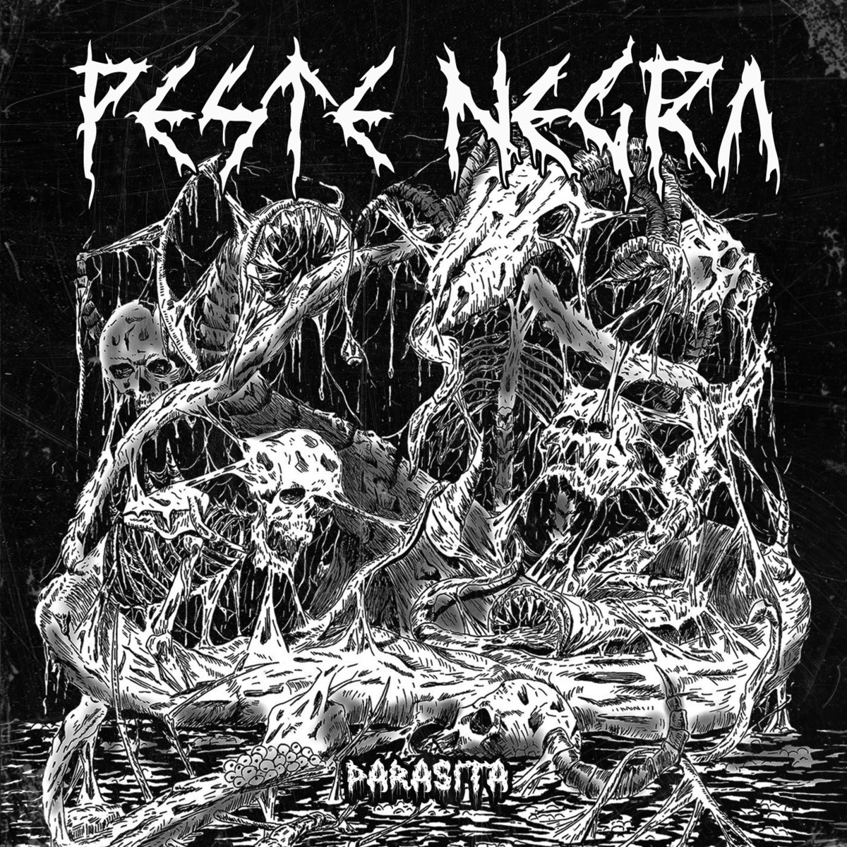 Peste Negra – Parasita