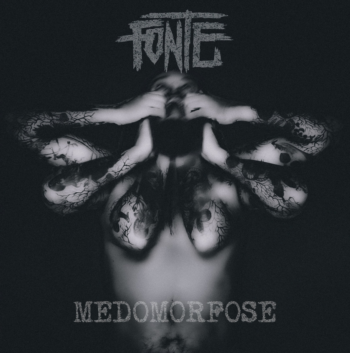 Fonte – Medomorfose
