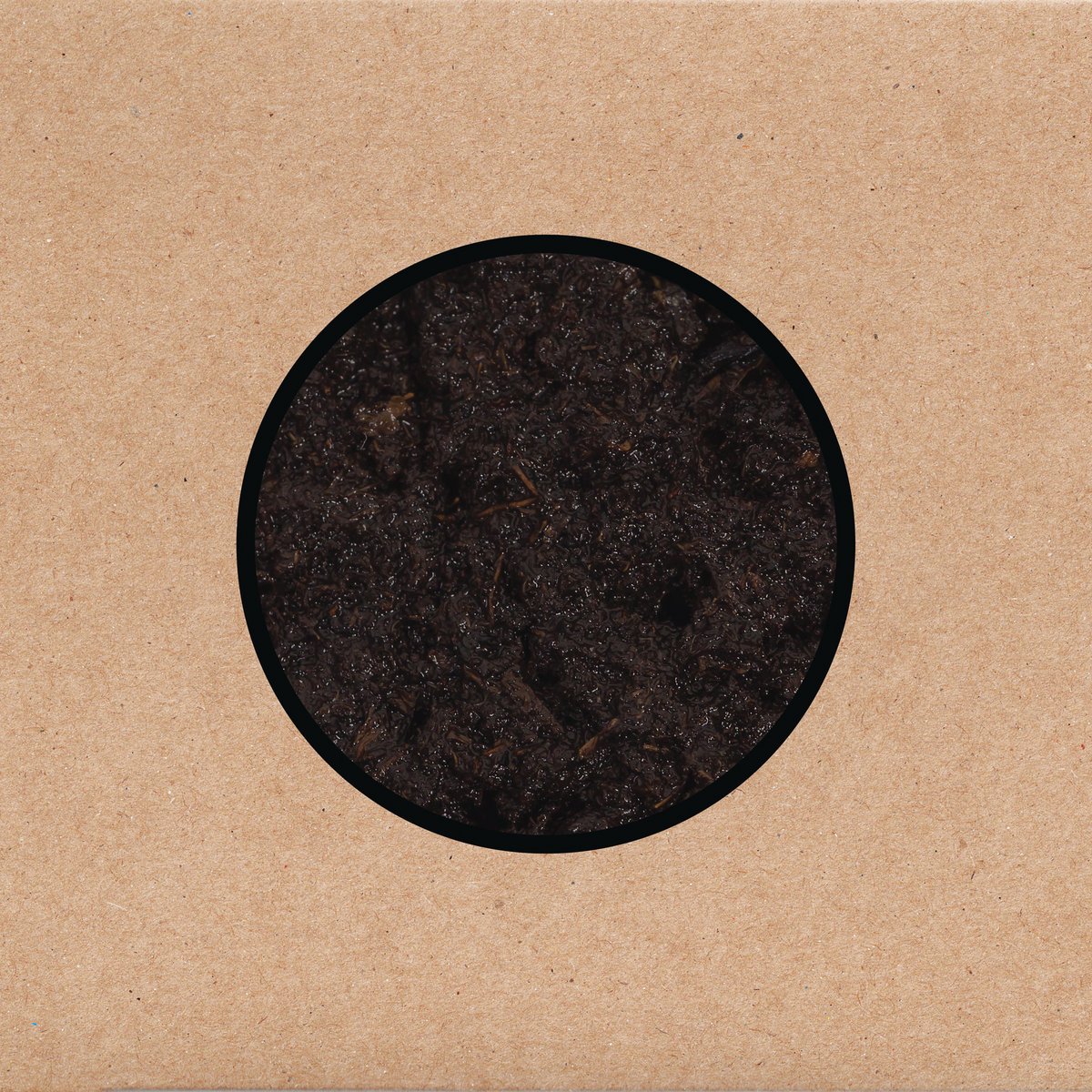 Swans – Birthing