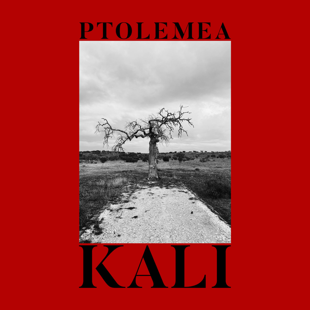Ptolemea – Kali