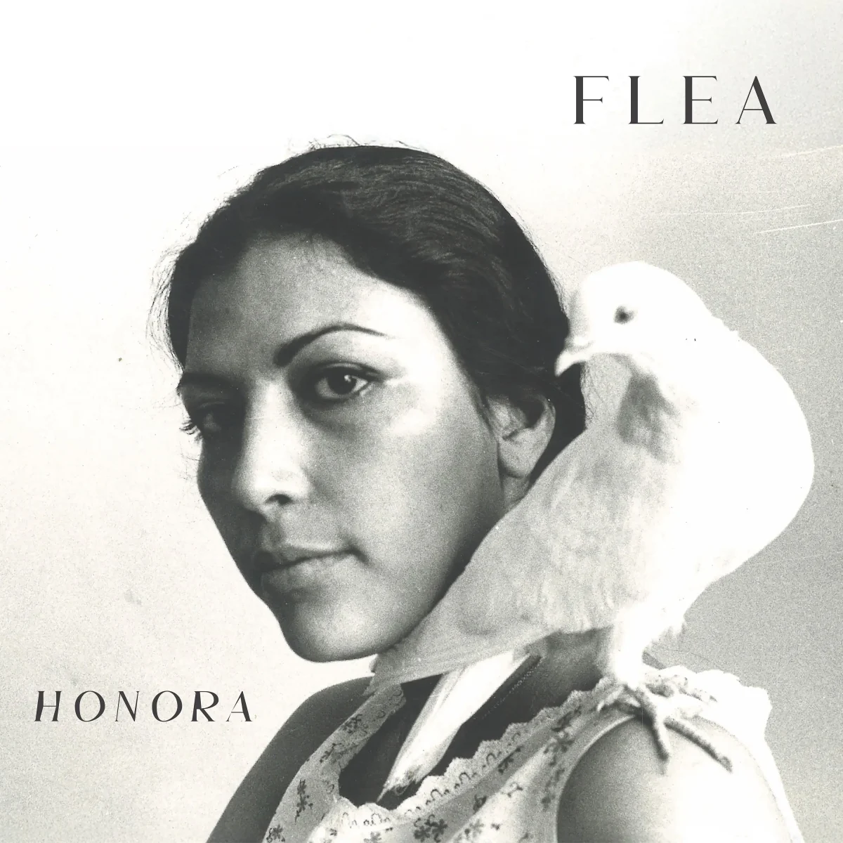 Flea – Honora