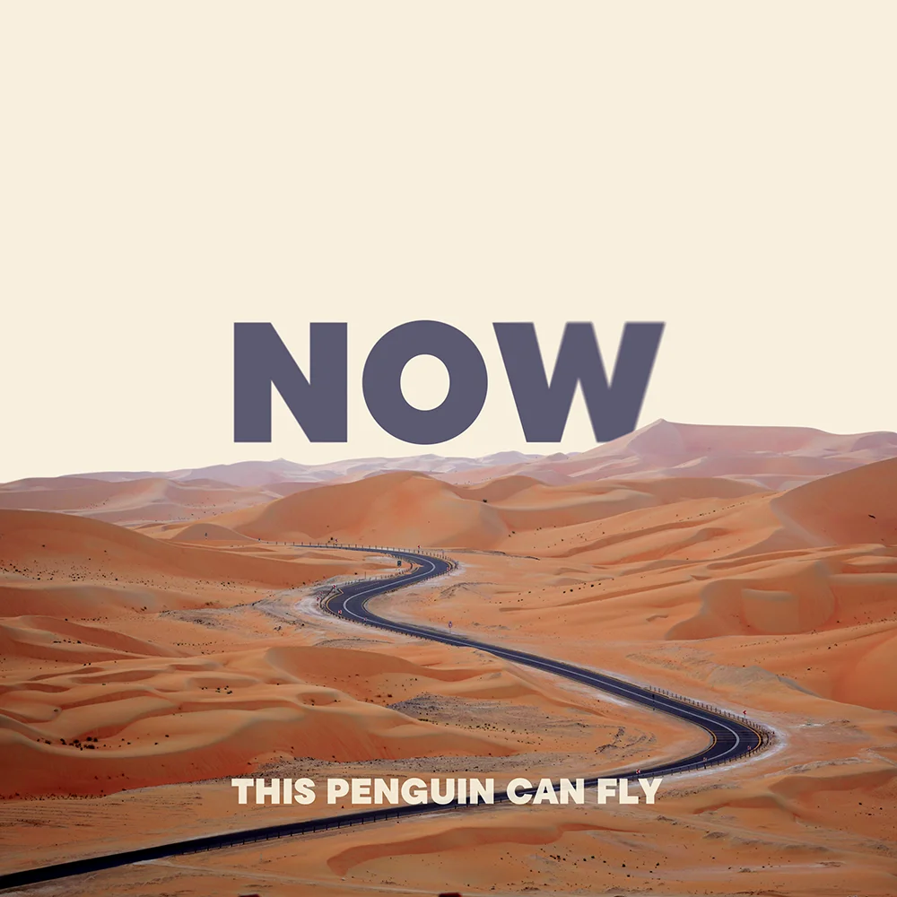 This Penguin Can Fly — NOW